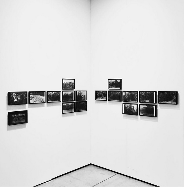 Vienna contemporary, 2020, Thomas Gänszler
