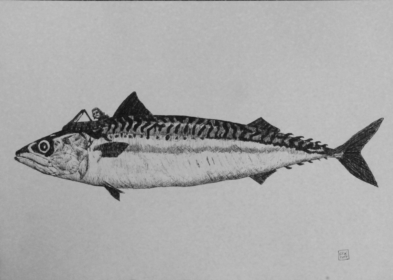 Serie: Fischtorpedo, 2017, Tusche auf Papier, 30 x 42 cm