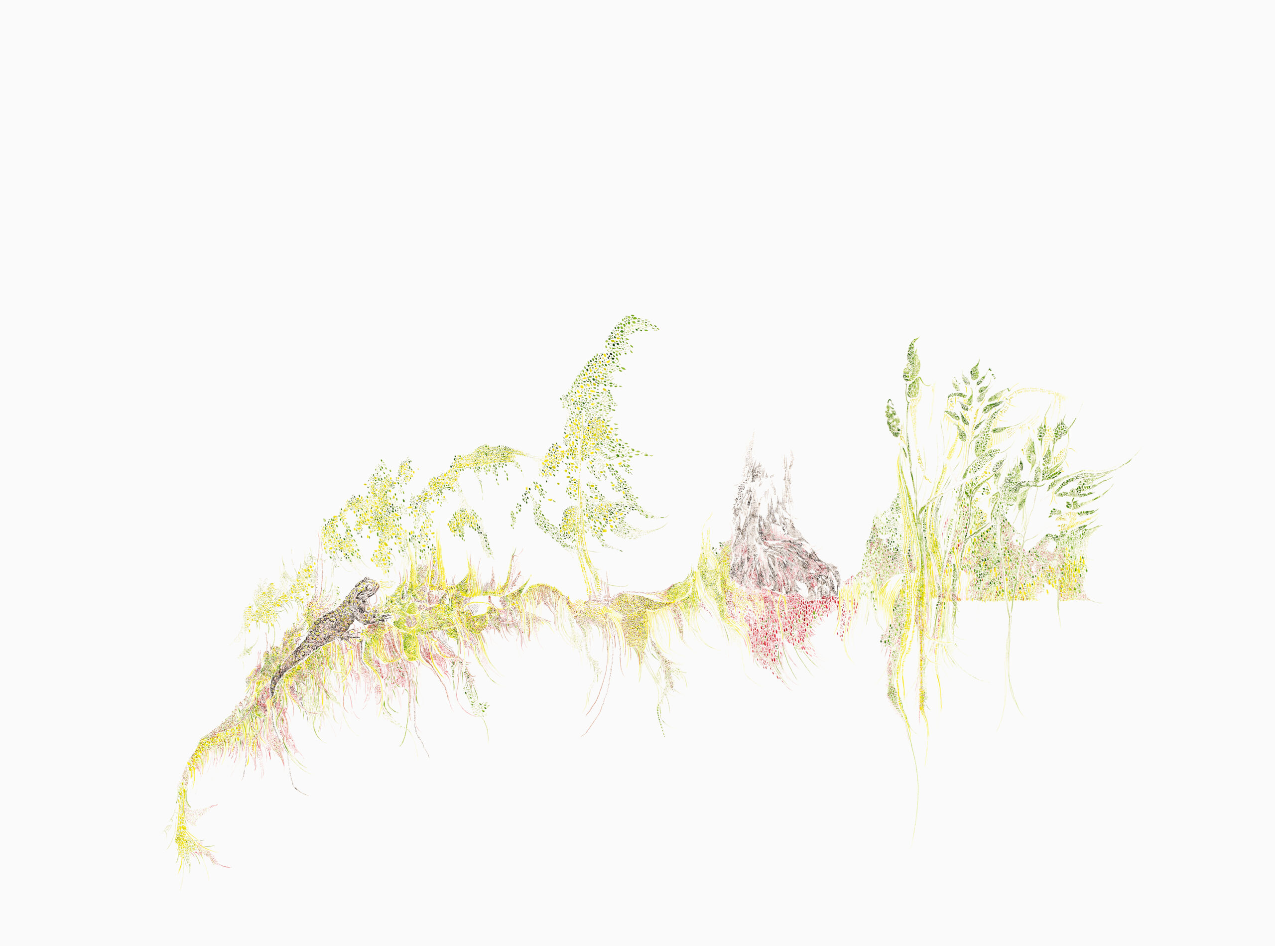 Salamander, aus der Serie Verkettungen, 2024, Aquarell auf Papier, 66x 86 cm