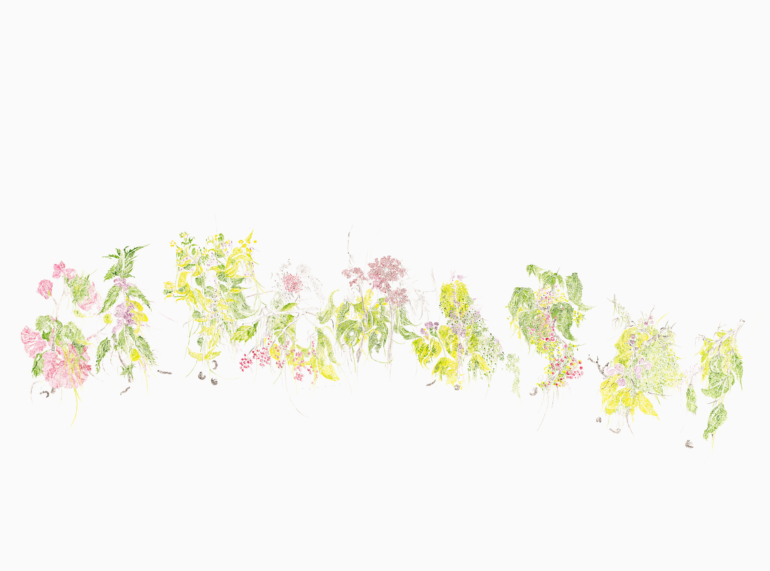 Wiesenblumen mit Würmern, aus der Serie Verkettungen, 2024, Aquarell auf Papier, 66x 86 cm