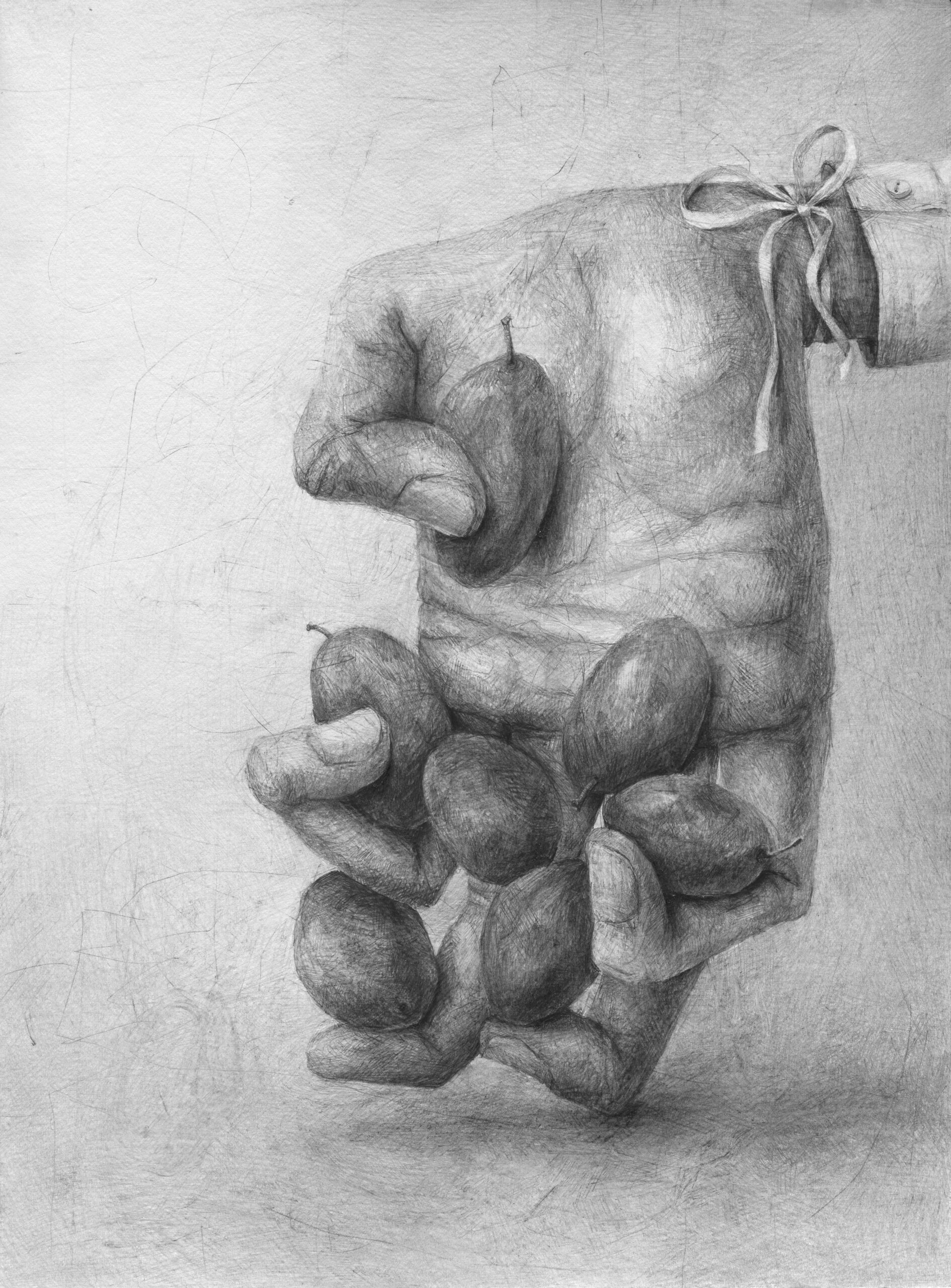 7 Zwetschgen, 2024, graphite on paper