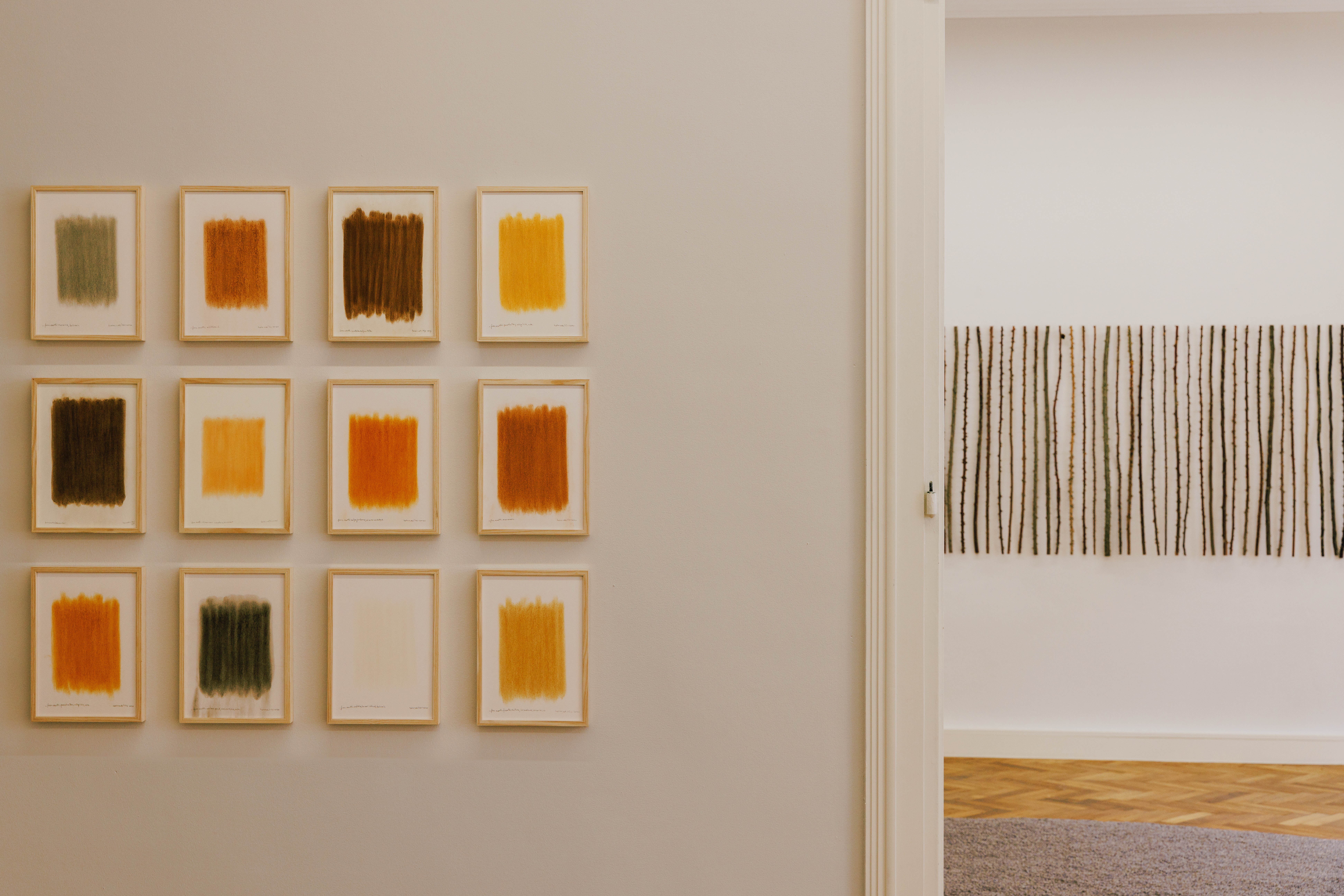 Ausstellungsansicht / Exhibition view Galerie Sturm & Schober 2023,
foto by Helmut Spudich