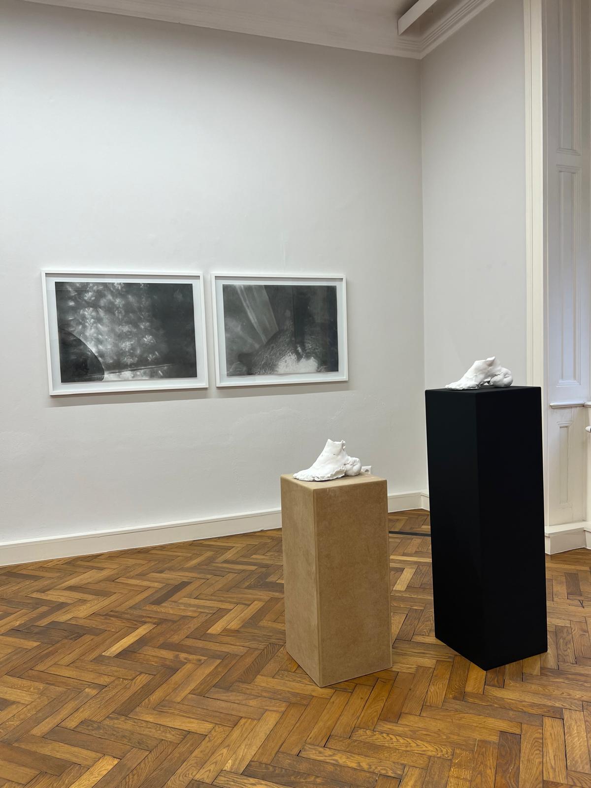 Exibitionview, Foto: Helmut Spudich