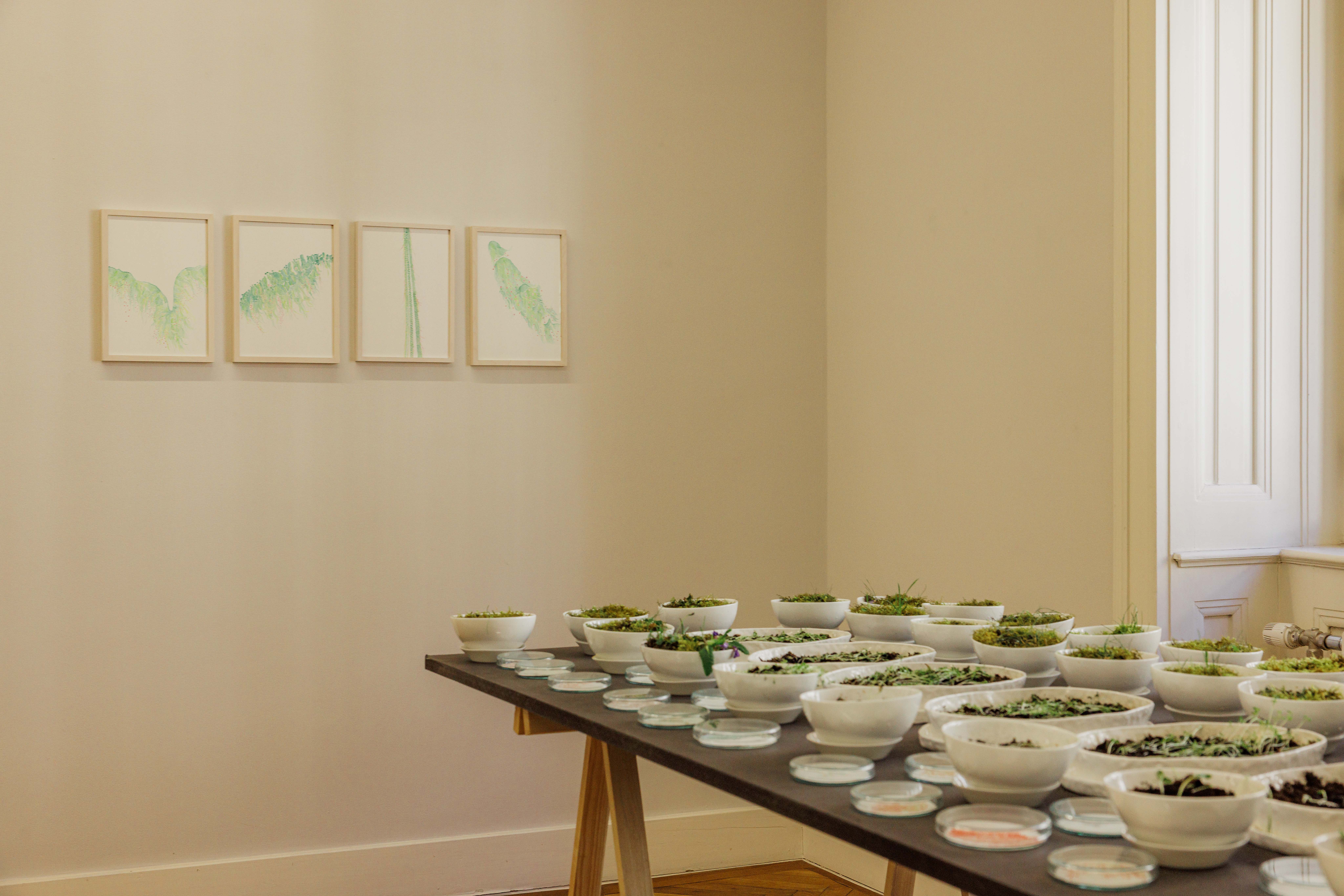 foto by Helmut Spudich