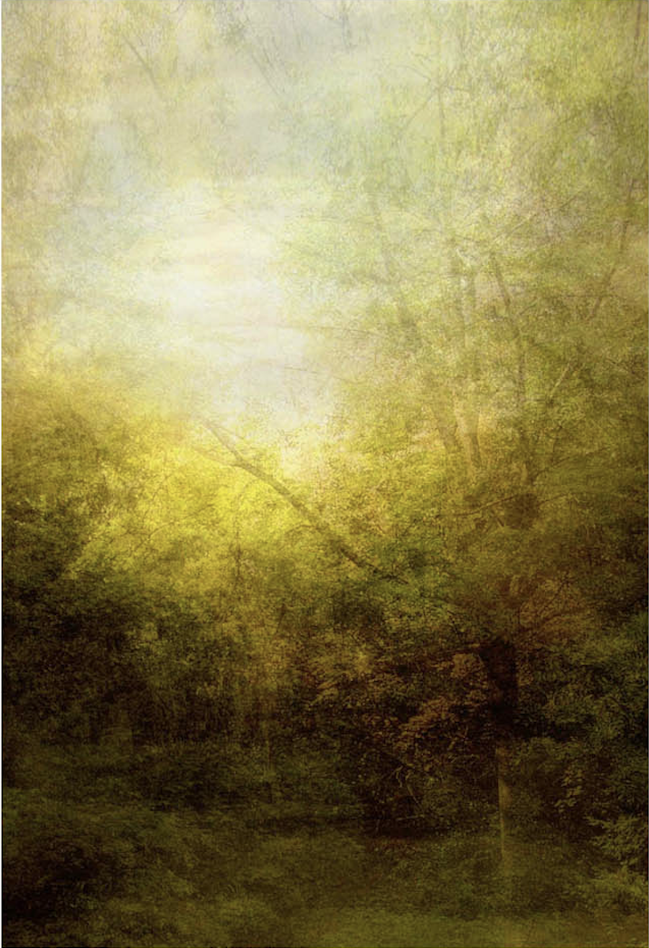 Stadtpark nachmittags, 2006, C-Print auf Alu-Dibond, 58 x 87 cm