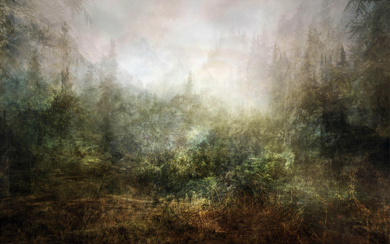 The elder scrolls, 2021, C-Print auf Forex, 105 x 165 cm
