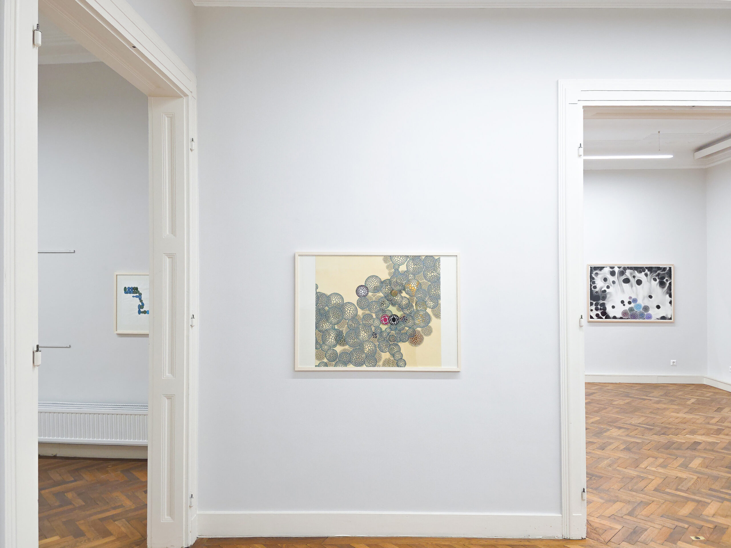 Ausstellungsansichten courtesy Galerie Sturm & Schober