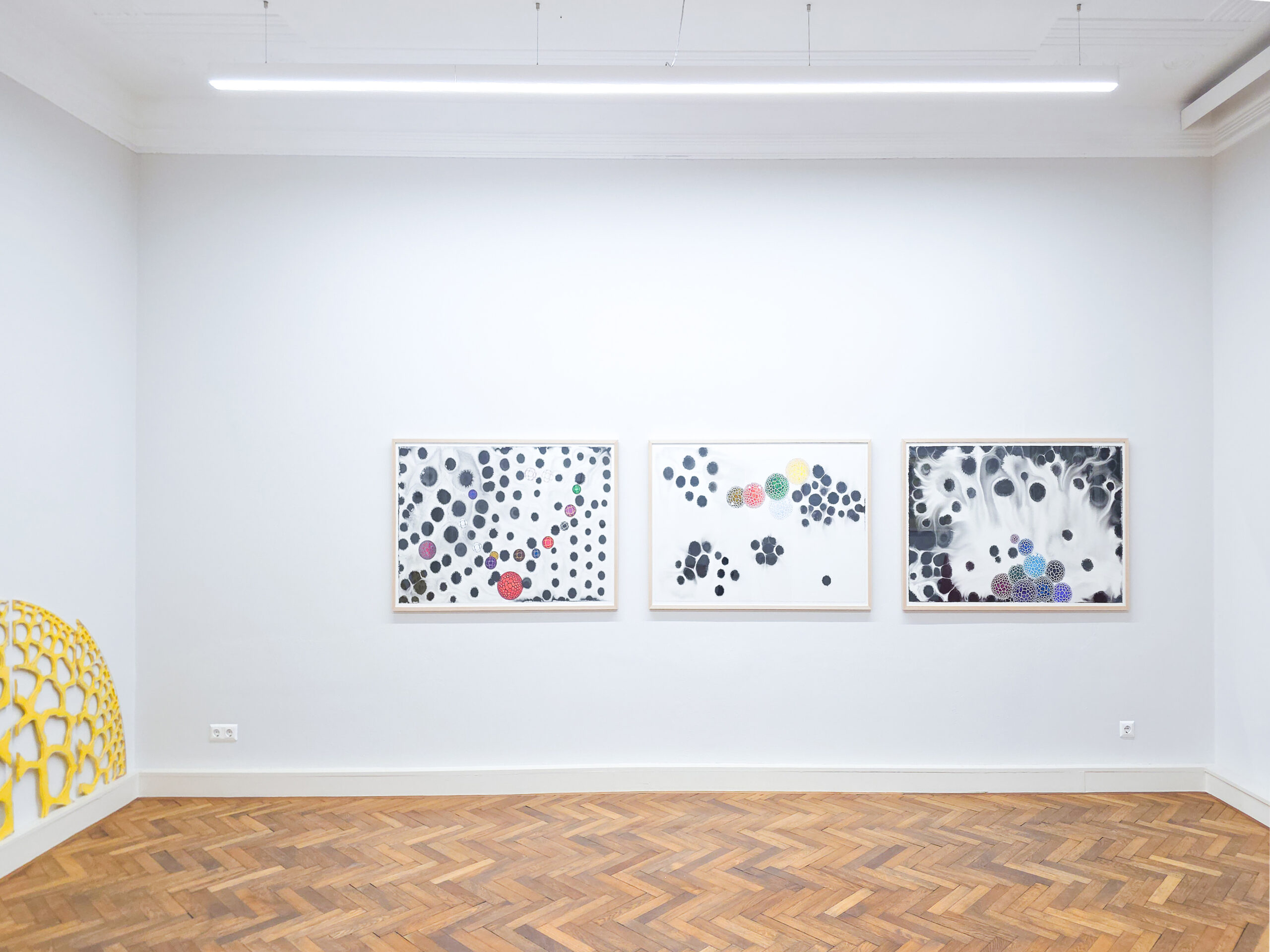 Ausstellungsansichten courtesy Galerie Sturm & Schober