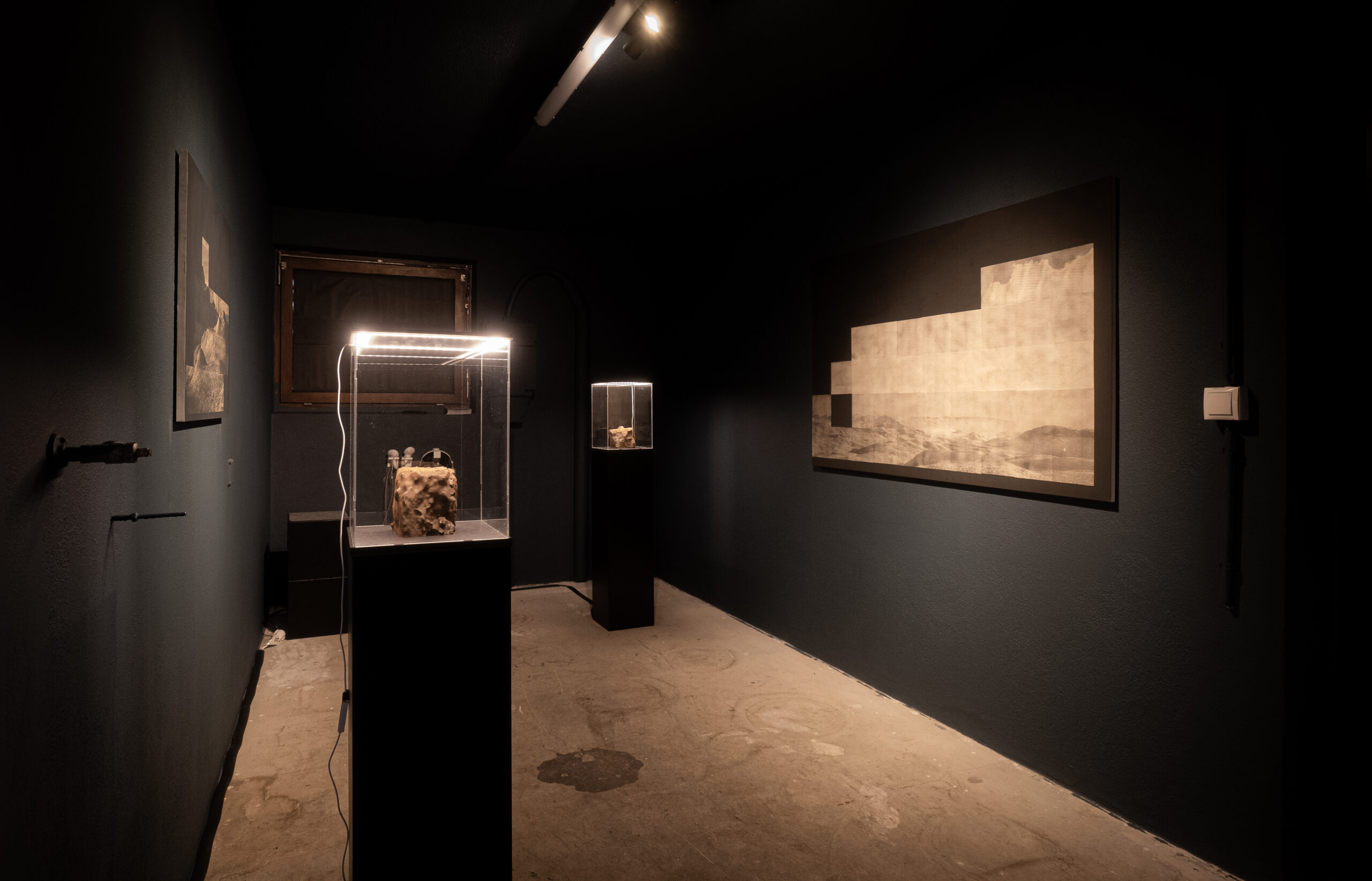 Ausstellungsansicht Thomas Gäsnszler